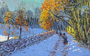 Lanzamiento de bolas de nieve, Allestree Park, Derby, 2014